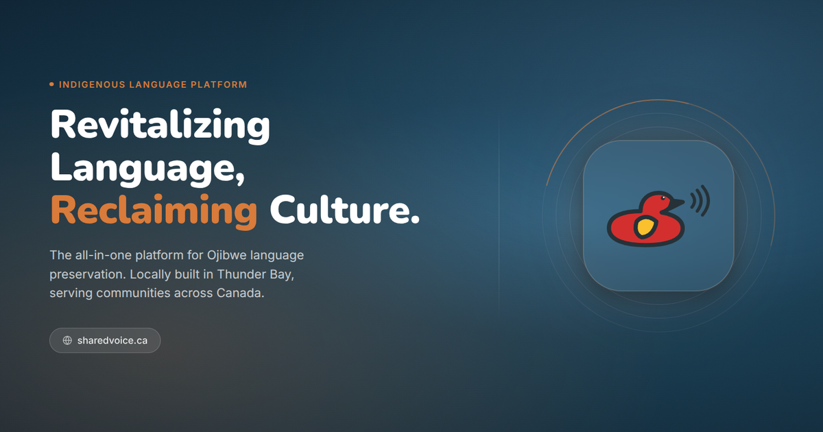 Shared Voice project visual